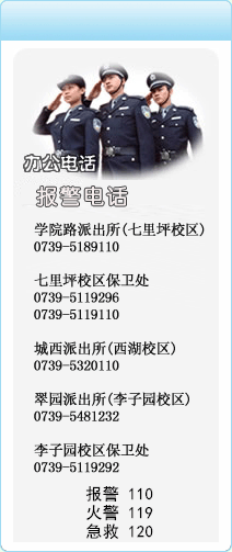 报警方式